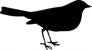 Quoth the Raven, "Nevermore."